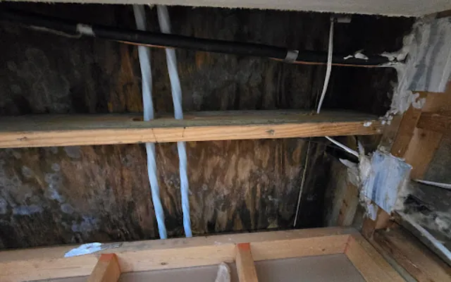 Roof Leak Water Damage in Fort Collins, CO