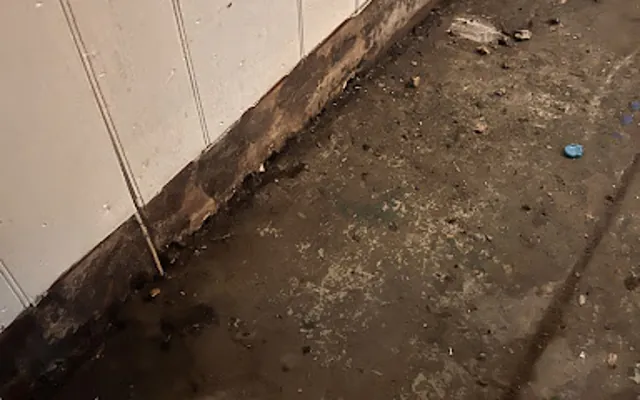 Sewage and Black Water Cleanup in Fort Collins, CO
